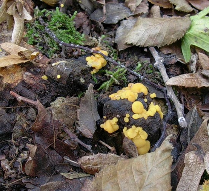 819 Ottobre vecchio ritrovamento